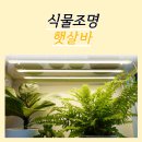 수도전파사 이미지