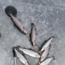 직천송어얼음낚시 네이버블로그