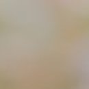 송제니퍼성형외과의원 이미지