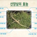 막끌리네 이미지