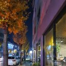 금오산로22길 네이버블로그