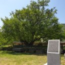 시목민박2 이미지