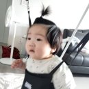 도신체육관 이미지