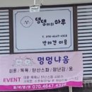 댕댕이의 하루 이미지