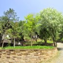 휴양림펜션 이미지