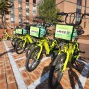 원주리라 이미지