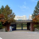 푸른드리 이미지