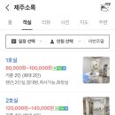 제주 소록 이미지