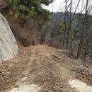 효석문학100리길 제4구간 이미지