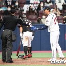 포일로 이미지