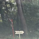 청량학동길 | 강릉 휘겔 입암동 단체모임 하기 좋은 편안한 카페 내돈내산 후기