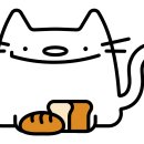 와플대학노량진캠퍼스 이미지