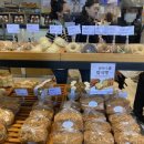 맘모스미용실 이미지