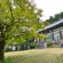 효돈순환로 이미지