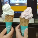 미니스톱 강남센터점 이미지