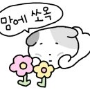 영신꽃화원 이미지