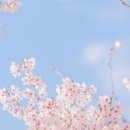 타임바버샵 - 천안시 서북구 성정중6길 1 | 타임바버샵