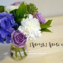플라젠트 이미지