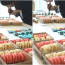 몽스텔 | :::[마카롱클래스후기]4월 전문가반 두번째시간/달콤한비행:::