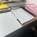 첫 인턴생활_한 달 후기