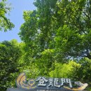 가족과 함께 한 순창, 담양 1박2일 | 순창 갈만한 곳 | 용궐산 하늘길 | 체계산 구름다리 | 담양...