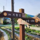 충주 지등산&관모봉(2024. 4. 28) 이미지