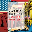 다우캡 이미지
