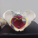 바른인한의원 이미지