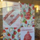 이성농장 | 강릉 베리베리딸기 _ 이성돈 인삼딸기 맛집