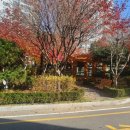 머내고가교 이미지