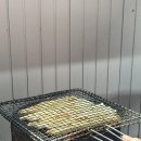 남강장어 이미지