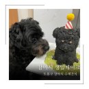 멍믈리에 이미지