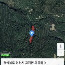 고경농장 네이버블로그