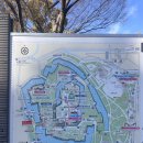 대빵놀이터 | 오사카성 벚꽃 개화 시기 2026 3월 26일 직접 다녀온 실시간 후기 인생샷 포인트까지 공개