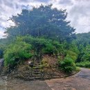 옥화자연휴양림 이미지