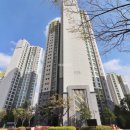 도안트리풀행운공인중개사사무소 이미지