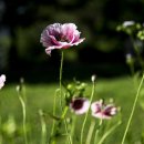 마동 공원 이미지