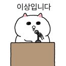 미술관 솔 이미지