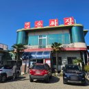 자금성손짜장 이미지