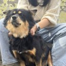 남평로199번길 이미지