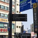 김방원수족관 | 청계천 수족관 거리 두 번째 방문 후기