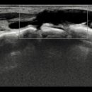 호국로789번길 이미지