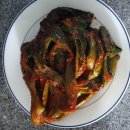 서가네 김치삼겹살 | 전라도 갓김치 여수 서가네 갓김치 후기 – 삼겹살 찰떡궁합!