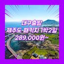 (주)동양교통관광여행사 | 제주도 1박2일 패키지 여행 여행사 / 대구공항 / 대구_제주도_1박2일 #관광패키지 #조석