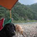 쥴리언니네