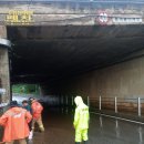 알미산로 이미지