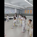 엘티에이(LTA)태권도장 | 유치원 체력·예절 한 번에, 연지 새동유치원 태권도로 시작한 유아태권도 이야기