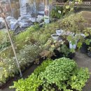 해성농장1 이미지