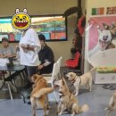 힐링몽 네이버블로그