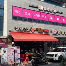 꿈꾸는개 이미지